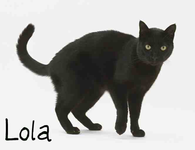 Lola